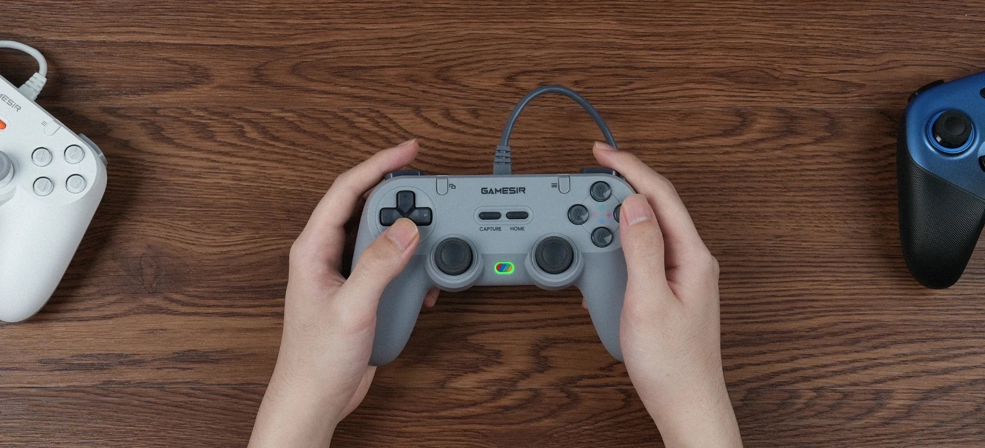 Tegenaria Lite Gaming-Controller - Grau