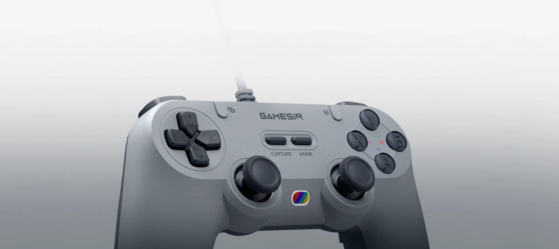 Tegenaria Lite Gaming-Controller - Grau