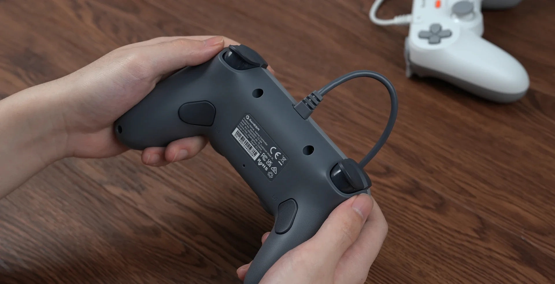 Tegenaria Lite Gaming-Controller - Grau